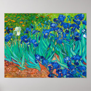 Irises, Vincent van Gogh Poster