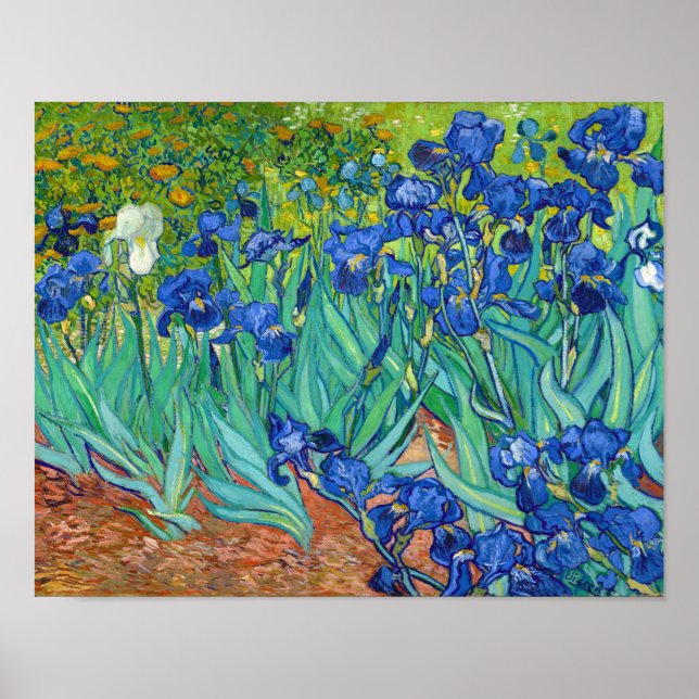 Irises, Vincent van Gogh Poster (Framsidan)