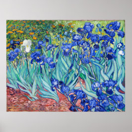 Irises Vincent van Gogh Poster