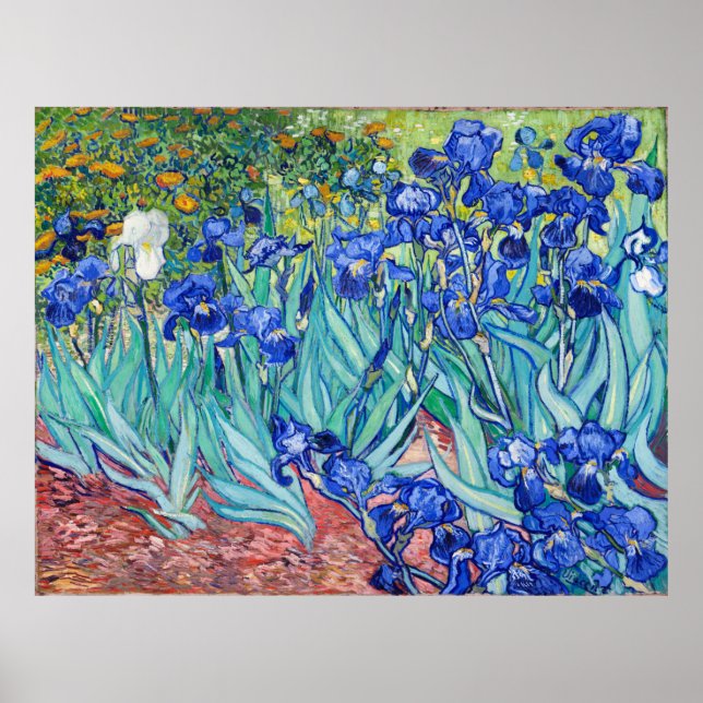 Irises Vincent van Gogh Poster (Framsidan)