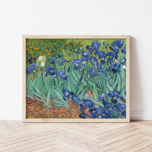 Irises   Vincent Van Gogh Poster