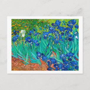 Irises, Vincent van Gogh Vykort