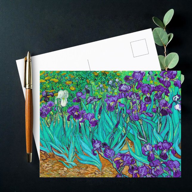Irises, Vincent van Gogh Vykort (Skapare uppladdad)
