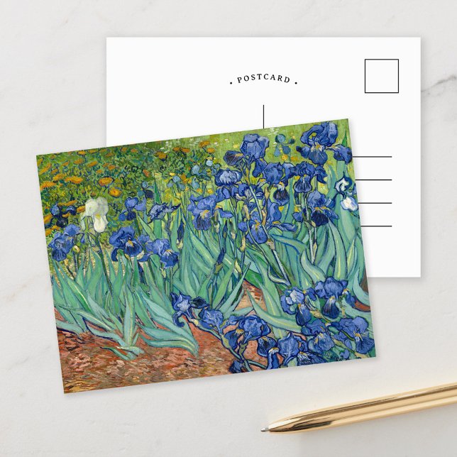 Irises | Vincent van Gogh Vykort (Skapare uppladdad)