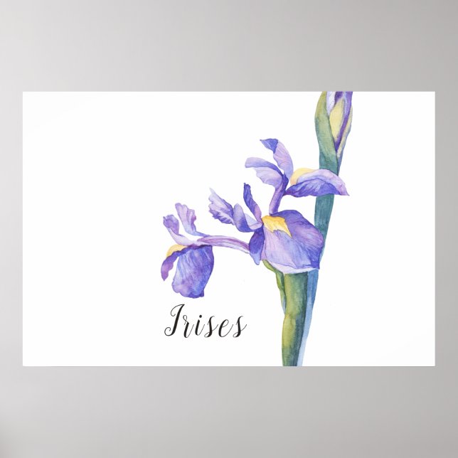Irises Watercolor Blommigt Poster (Framsidan)