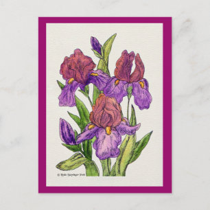 Irises Watercolor Vykort