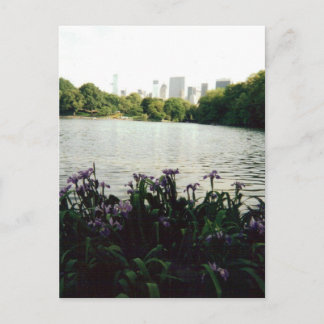 irisesmmm 001 vykort