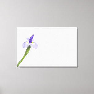 Irisflower. Canvastryck