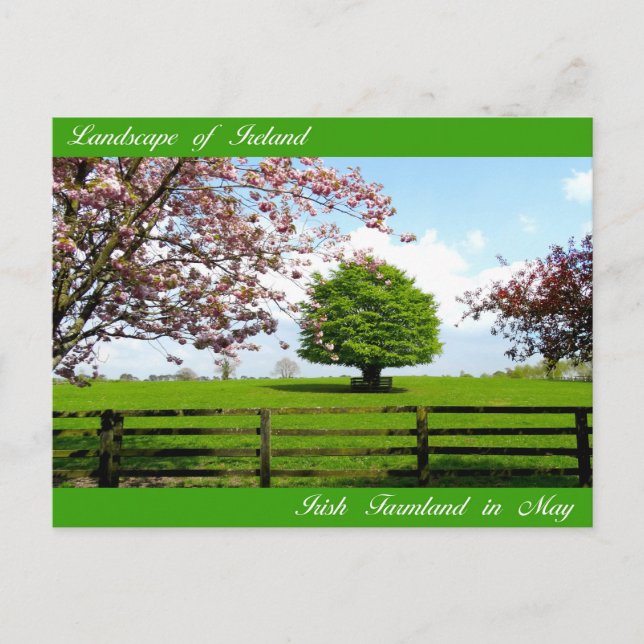Irish Bilder for vycard Vykort (Framsida)