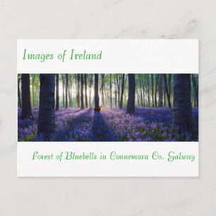Irish Bilder for vycard Vykort