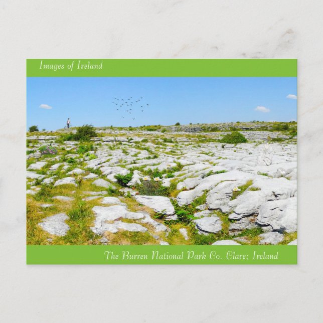 Irish Bilder for vycard Vykort (Framsida)