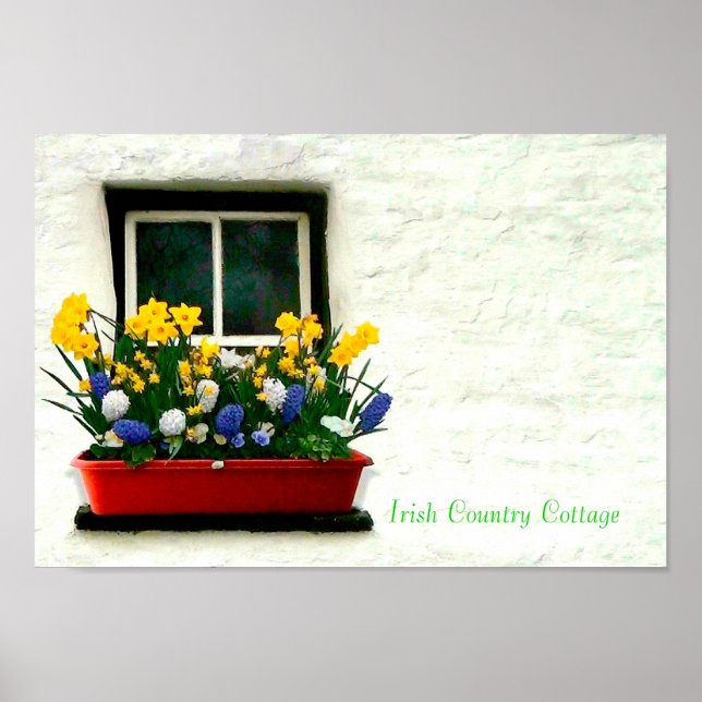 Irish Bilder Poster (Framsidan)