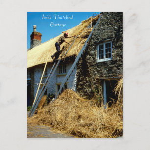 Irish Bilder vycard Vykort