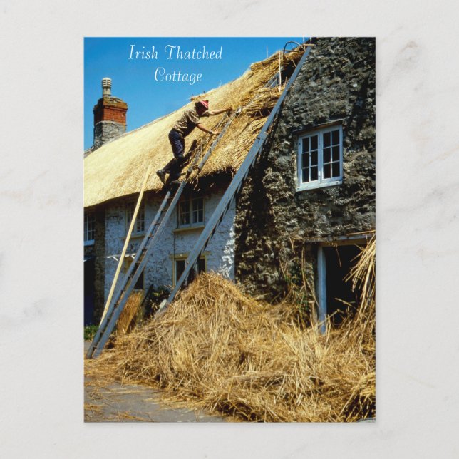 Irish Bilder vycard Vykort (Framsida)