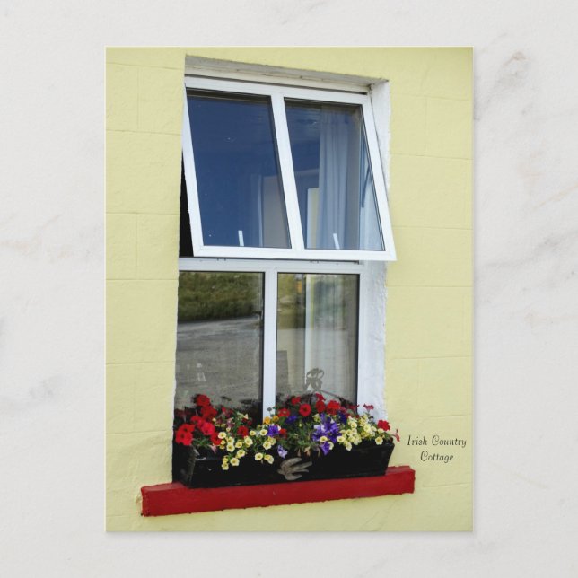 Irish Bilder vycard Vykort (Framsida)