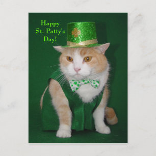 Irish Bubba Kattunge Vykort