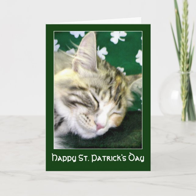 Irish Cat Dreams St. Patrick's Day Kort (Framsida)