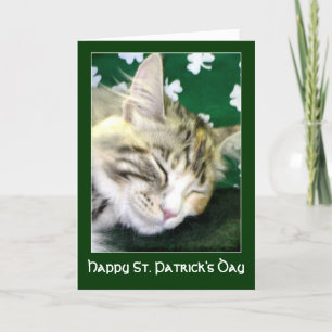 Irish Cat Dreams St. Patrick's Day Kort