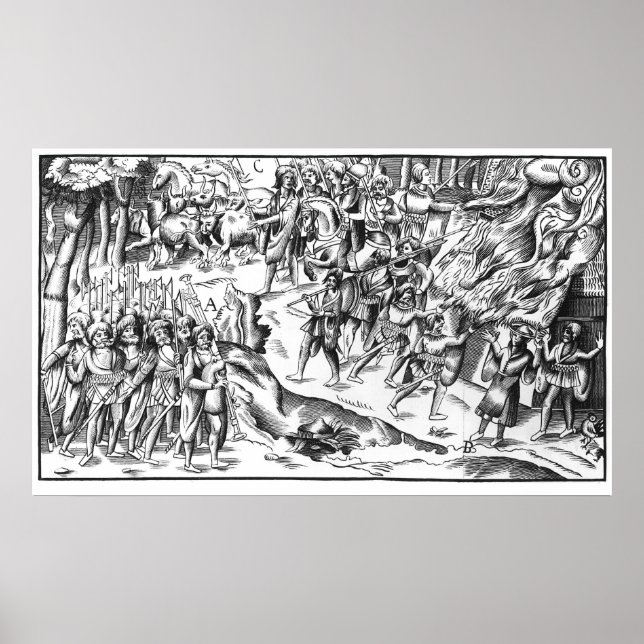 Irish Cattle Raid på engelska Plantation Poster (Framsidan)