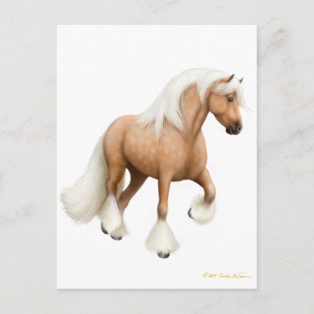 Irish Cob Horse Postcard Vykort (Framsida)
