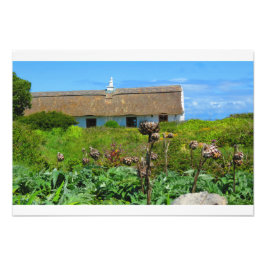 Irish Cottage Home Fototryck