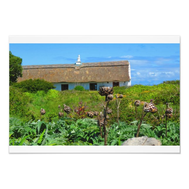 Irish Cottage Home Fototryck (Framsidan)