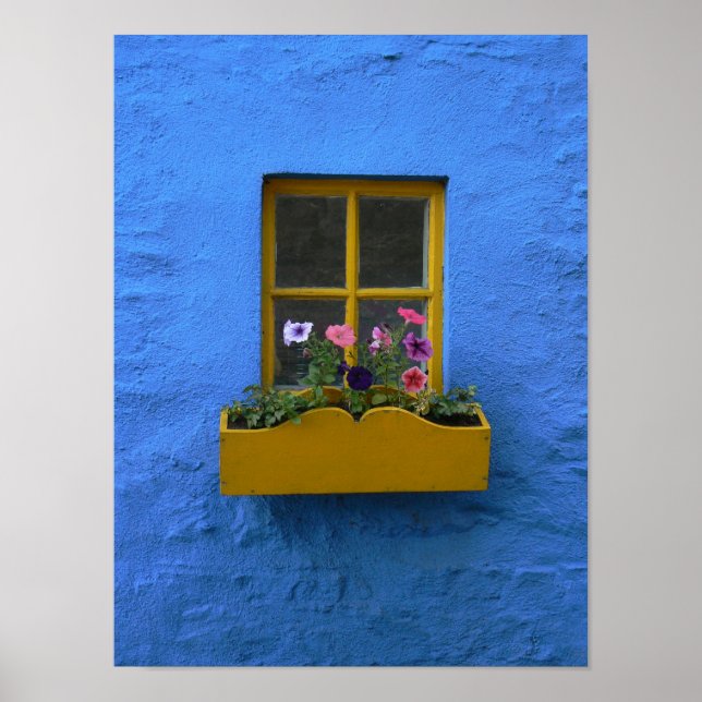 Irish Cottage Windows box Poster (Framsidan)