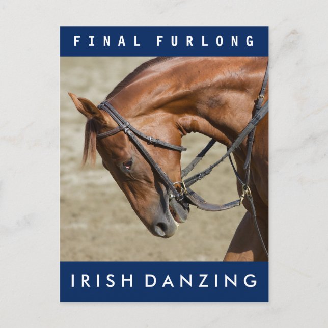 Irish Danzing - Oklahoma Training Track Vykort (Framsida)