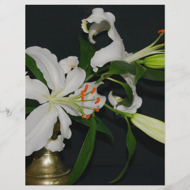 Irish Design Brass and Flower Collection (Framsida)