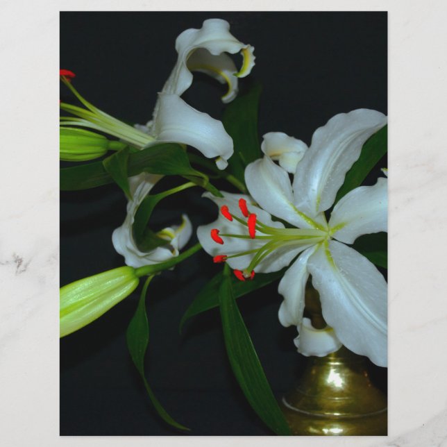 Irish Design Brass and Flower Collection (Framsida)