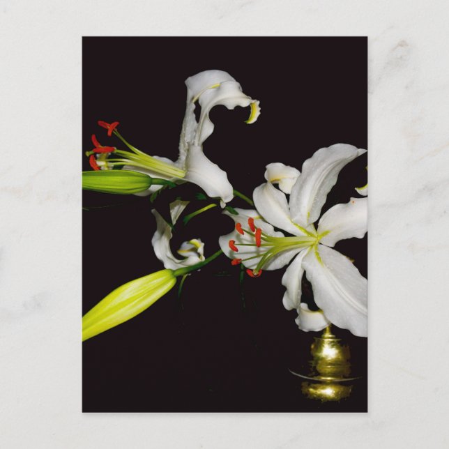 Irish Design- Brass and Flower Collection Vykort (Framsida)