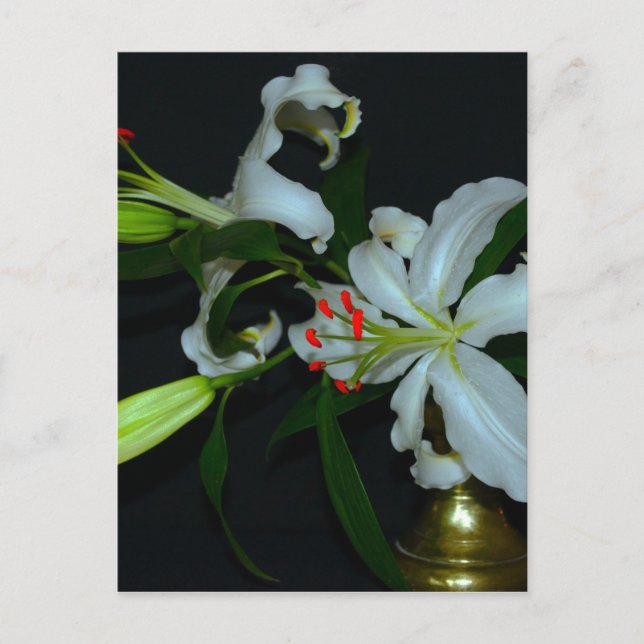 Irish Design Brass and Flower Collection Vykort (Framsida)