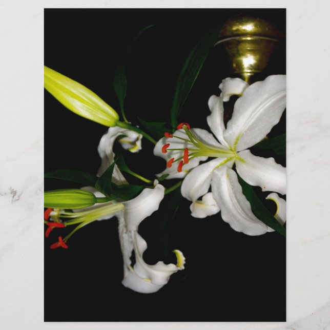 Irish Design-the-Flower Collection (Framsida)