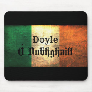 Irish Doyle Family Namn Musmatta
