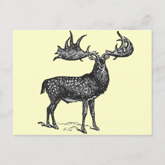 Irish Hjort Vykort