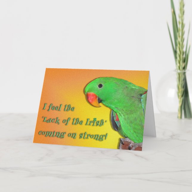 Irish Kiss Kort (Framsida)