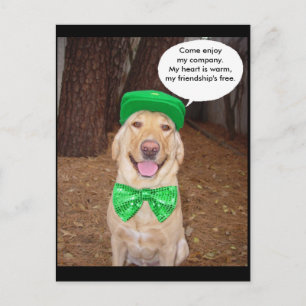 Irish Lab Say Vykort