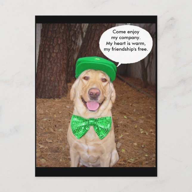 Irish Lab Say Vykort (Framsida)