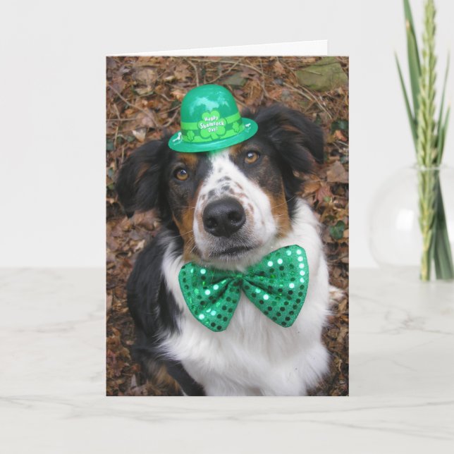 "Irish Laddie"-kort Kort (Framsida)