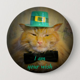 Irish Leprechaun Cat Wish Knapp