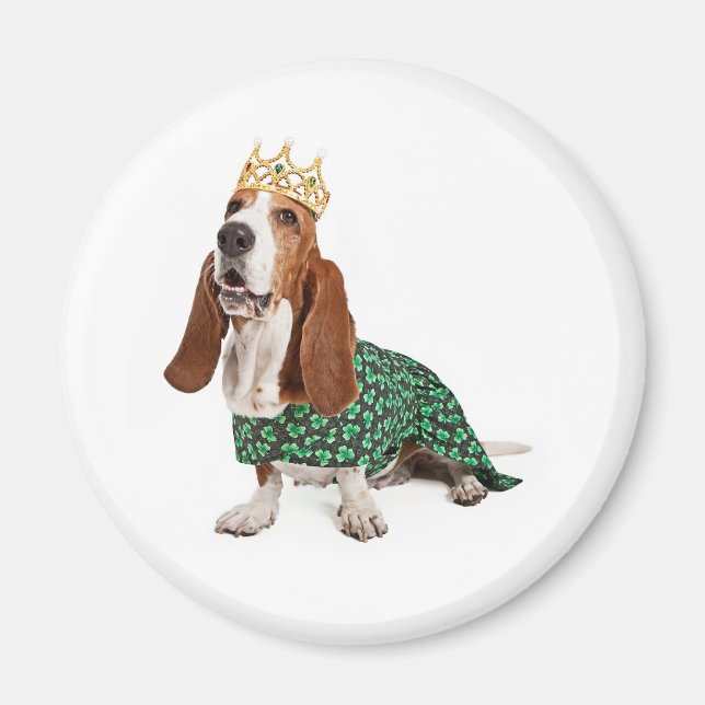 Irish Princess Basset Magnet (Framsidan)