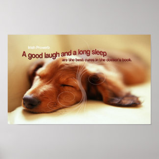 Irish Proverb Sleeping Hund Poster