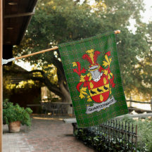 Irish Quartermaines Jackar Arm Family Crest Ire