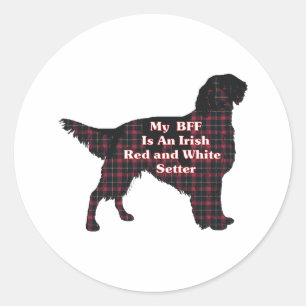 Irish Red and White Setter BFF-etikett Runt Klistermärke