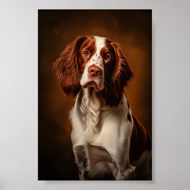 Irish Red and White Setter Poster (Framsidan)