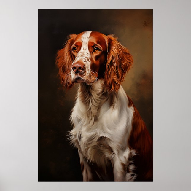 Irish Red and White Setter Poster (Framsidan)