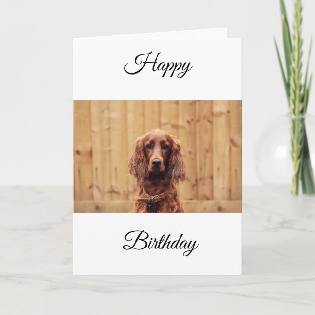 Irish Red Setter Birthday Card Kort (Framsida)
