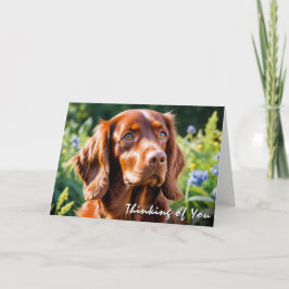 Irish Red Setter Hund älskare tänker på dig Kort