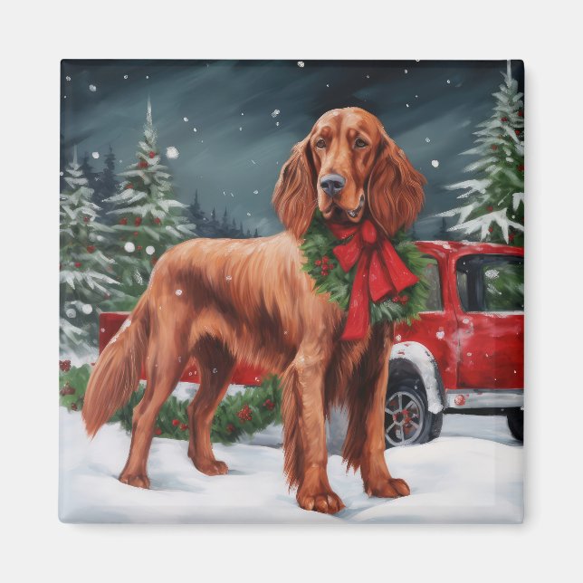 Irish Red Setter Hund i Snö jul Magnet (Framsidan)