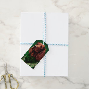 Irish Red Setter Hund in St. Patrick Day Dress Presentetikett